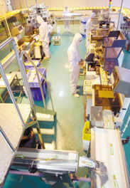 徐州民營經(jīng)濟(jì)集群發(fā)展 以管理創(chuàng)新驅(qū)動(dòng)轉(zhuǎn)型升級