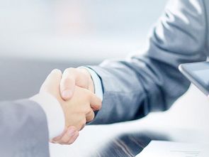 新市區(qū)公司注冊與商務信息咨詢 一站式服務助力企業(yè)啟航